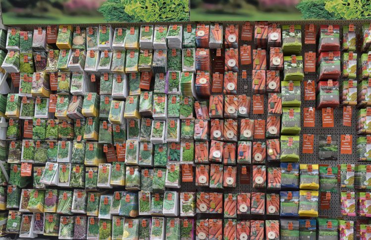 A display of seeds at a garden store